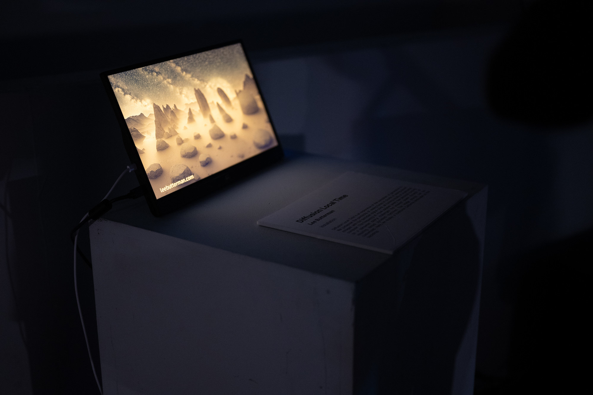 Diffusion Local Time